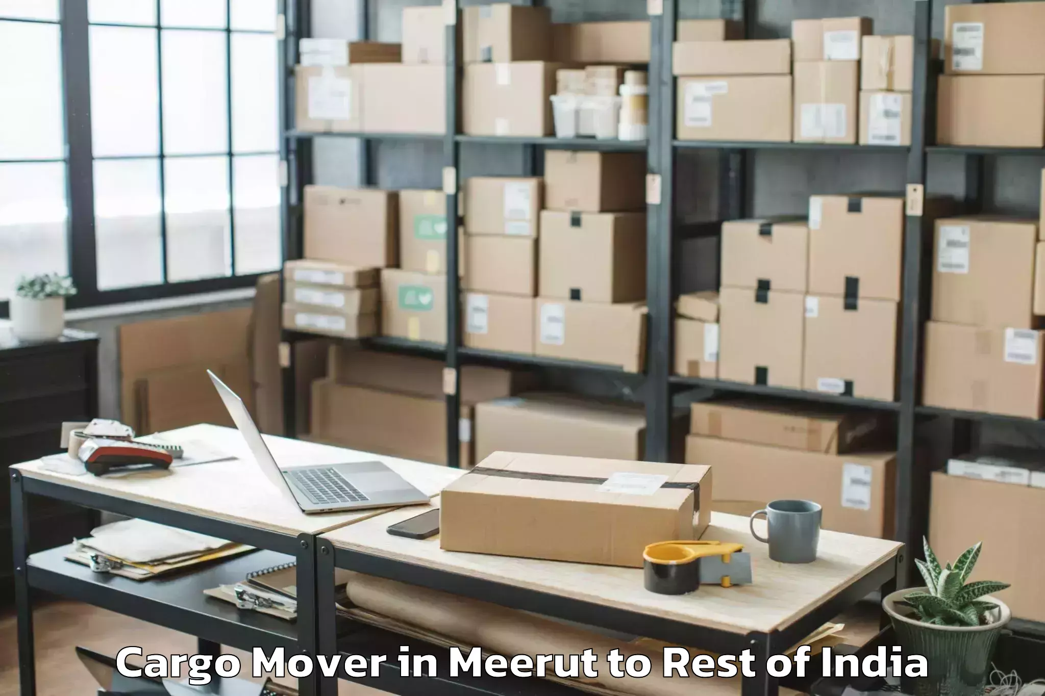 Book Meerut to Bijolia Cargo Mover